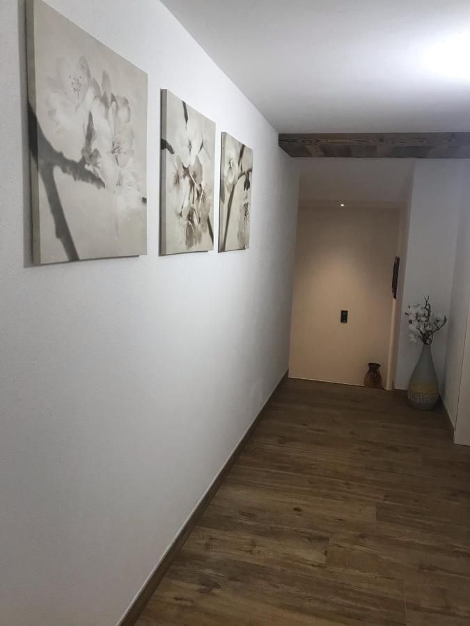 Appartement Fritzl Wagrain Exteriér fotografie